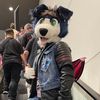 rhodydevil