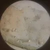 zabrinaxr_