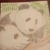 14kpanda1