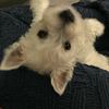 kmby_10