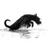 piskun.photo