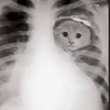 thaocutiquaa