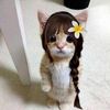 whosdyu