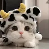 botccifoecy
