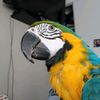 mickyboy42001