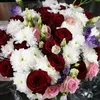 han_adi22_03