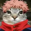 kun_real