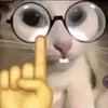 thinhluntitbhskfihb