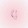p1nk.27_05_4