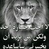 abdelaliabdelali04