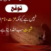 dadagul37