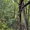 metamorphism1