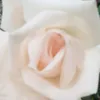 user3s8m5vqfil
