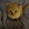 fariqadam2