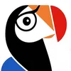 dodostorecba