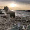 benji_pn05
