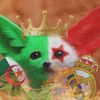 atallahmouad