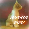 _michii_23