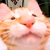 gustavoelgato3