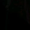 holdi_2