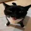 karinalogy69