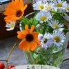 daffodilflower46