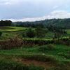 kisioleo14