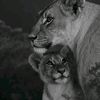 rosmeri.mh