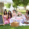 lvpicnicparties