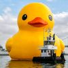 duckydoo09