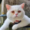 chienminh969