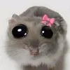 mi.c0oo