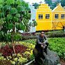 sandi1106