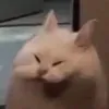 choiyujung75