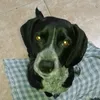 niltongeraldodarroz