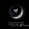 faanny_02.5