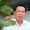 phamtan245
