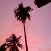 anum_nzh