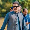 ch.sarfraz7786