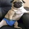 nathanjdss8j