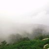 aljabri.9.9