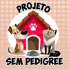 projetosempedigree