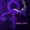 purpl3_h19pie