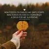 rosilenealves2528