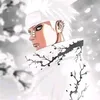 s.e.d_3.1