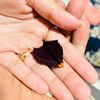 razia_1237