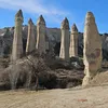nedzadkuci