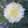 theking09756