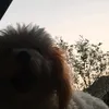 bong_4112022