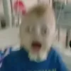 toddeslot